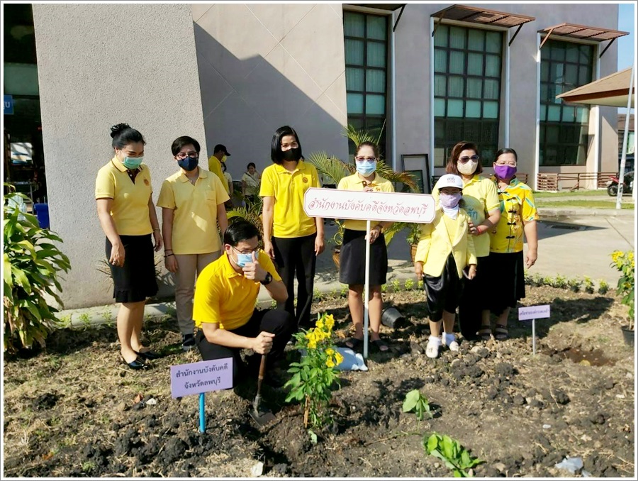 ﻿สำนักงานบังคับคดีจังหวัดลพบุรี ร่วมกับหน่วยงานในสังกัดกระทรวงยุติธรรมจังหวัดลพบุรี จัดกิจกรรมปลูกต้นไม้ประจำปีของชาติ